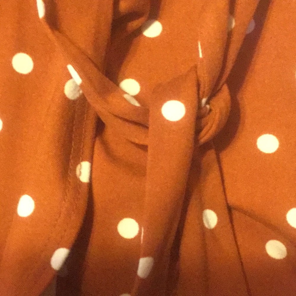 Earth Tone Brown Color V-neck Polka Dot Side Tie Waist Plus Dress - Picture 6 of 8
